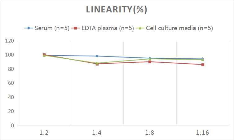 ELISA: Human NT-proBNP ELISA Kit (Colorimetric) [NBP2-76774] - Samples were spiked with high concentrations of Human NT-proBNP and diluted with Reference Standard & Sample Diluent to produce samples with values within the range of the assay.