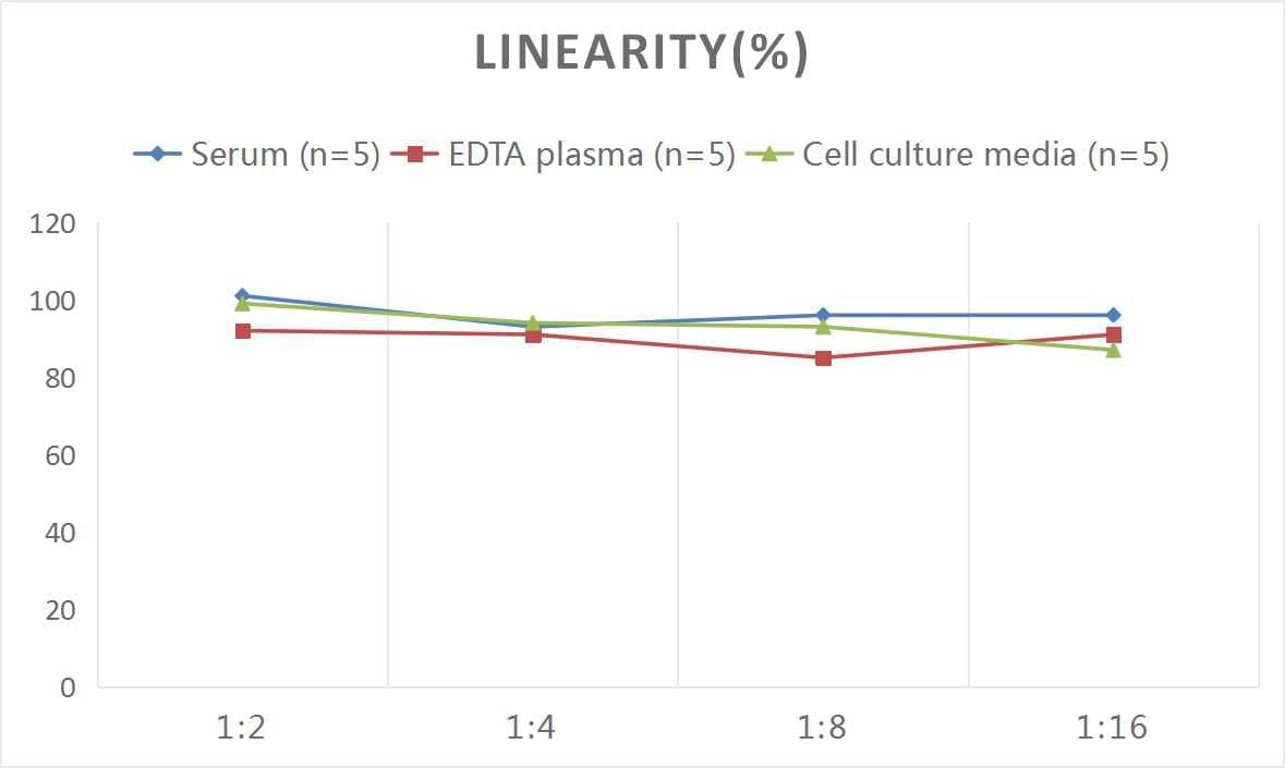 ELISA: Human Mimecan/OIF ELISA Kit (Colorimetric) [NBP2-76781] - Samples were spiked with high concentrations of Human Mimecan/OIF and diluted with Reference Standard & Sample Diluent to produce samples with values within the range of the assay.