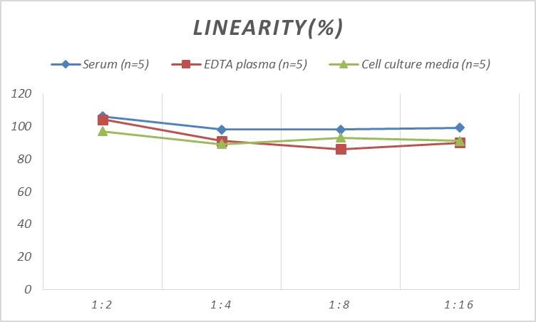 ELISA: Rat OSCAR ELISA Kit (Colorimetric) [NBP2-76785] - Samples were spiked with high concentrations of Rat OSCAR and diluted with Reference Standard & Sample Diluent to produce samples with values within the range of the assay.