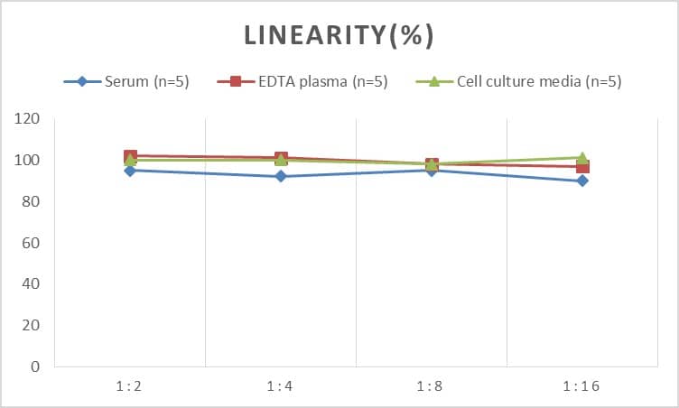 ELISA: Rabbit NT-proBNP ELISA Kit (Colorimetric) [NBP2-76789] - Samples were spiked with high concentrations of Rabbit NT-proBNP and diluted with Reference Standard & Sample Diluent to produce samples with values within the range of the assay.