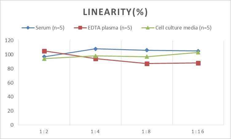 ELISA: Mouse CXCL5/ENA-78 ELISA Kit (Colorimetric) [NBP2-78750] - Samples were spiked with high concentrations of Mouse CXCL5/ENA-78 and diluted with Reference Standard & Sample Diluent to produce samples with values within the range of the assay.