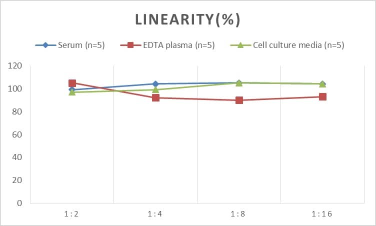 ELISA: Rat CXCL5/ENA-78 ELISA Kit (Colorimetric) [NBP2-78751] - Samples were spiked with high concentrations of Rat CXCL5/ENA-78 and diluted with Reference Standard & Sample Diluent to produce samples with values within the range of the assay.