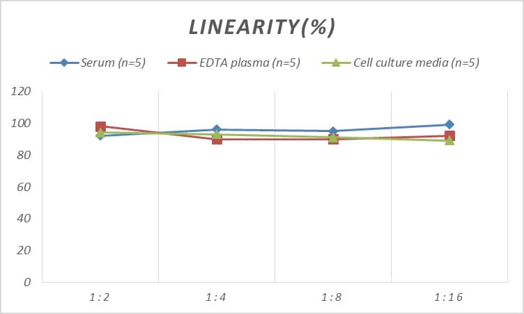 ELISA: Rat Fetuin A/AHSG ELISA Kit (Colorimetric) [NBP2-78752] - Samples were spiked with high concentrations of Rat Fetuin A/AHSG and diluted with Reference Standard & Sample Diluent to produce samples with values within the range of the assay.