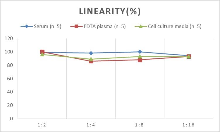 ELISA Human CCL15/MIP-1 delta ELISA Kit (Colorimetric)