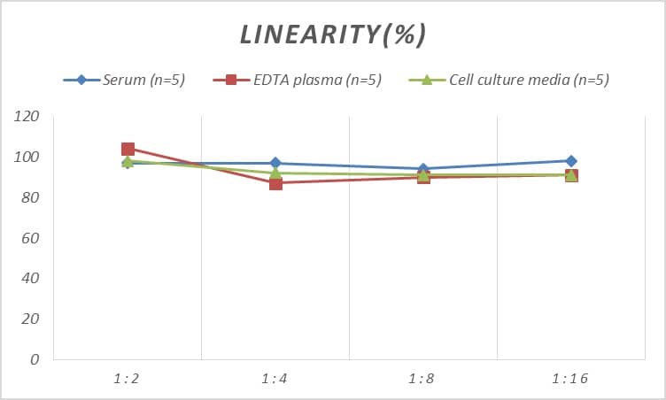 ELISA Mouse NF-M ELISA Kit (Colorimetric)