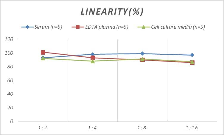 ELISA Rat NF-M ELISA Kit (Colorimetric)