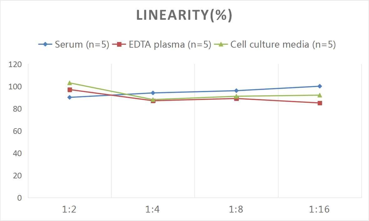 ELISA Human NF-H [p Ser668, p Ser702] ELISA Kit (Colorimetric)