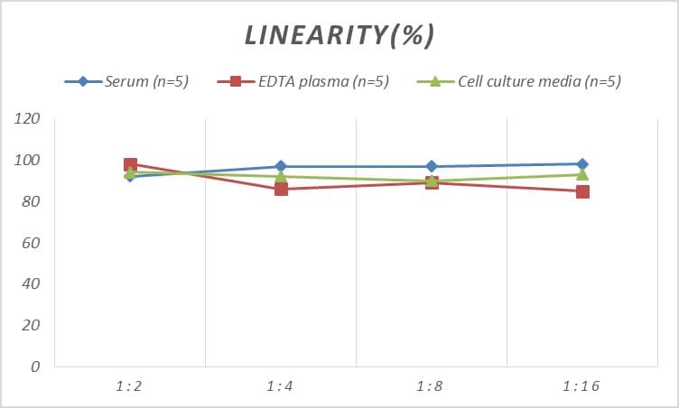 ELISA Rat NF-H ELISA Kit (Colorimetric)