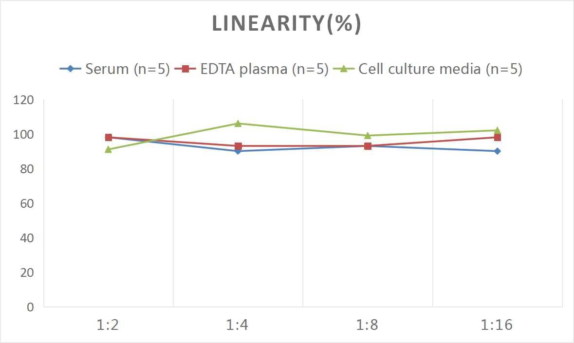 ELISA: Mouse Beta-endorphin ELISA Kit (Colorimetric) [NBP2-78775] - Samples were spiked with high concentrations of Mouse Beta-endorphin and diluted with Reference Standard & Sample Diluent to produce samples with values within the range of the assay.