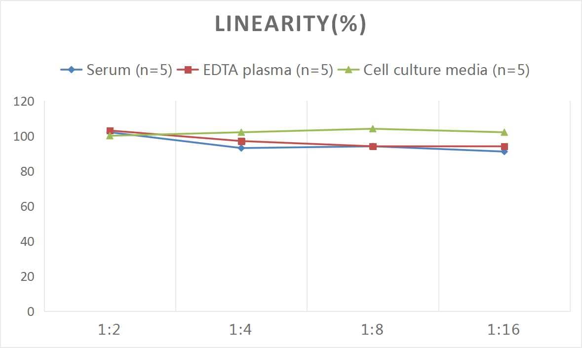 ELISA: Rat Beta-endorphin ELISA Kit (Colorimetric) [NBP2-78776] - Samples were spiked with high concentrations of Rat Beta-endorphin and diluted with Reference Standard & Sample Diluent to produce samples with values within the range of the assay.