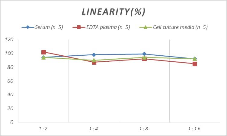 ELISA: Mouse VEGFR3/Flt-4 ELISA Kit (Colorimetric) [NBP2-78875] - Samples were spiked with high concentrations of Mouse VEGFR3/Flt-4 and diluted with Reference Standard & Sample Diluent to produce samples with values within the range of the assay.