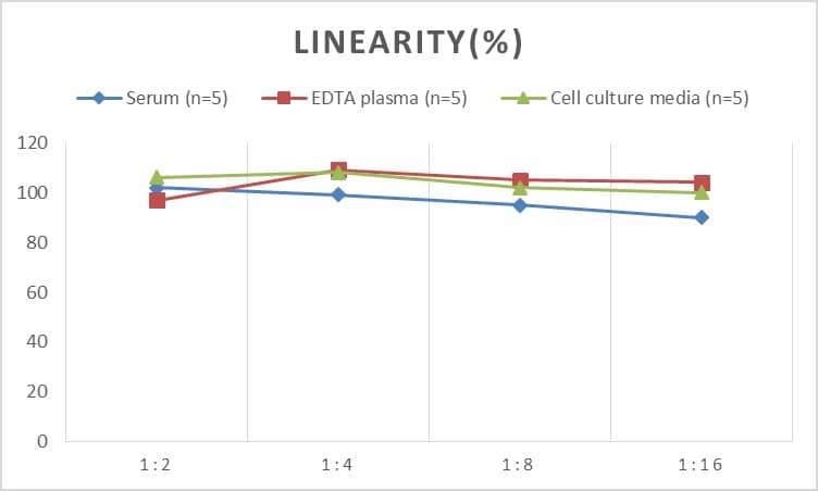 ELISA: Mouse VEGFR3/Flt-4 ELISA Kit (Chemiluminescence) [NBP2-78876] - Samples were spiked with high concentrations of Mouse VEGFR3/Flt-4 and diluted with Reference Standard & Sample Diluent to produce samples with values within the range of the assay.