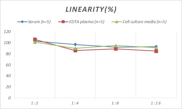 ELISA: Monkey VEGFR1/Flt-1 ELISA Kit (Colorimetric) [NBP2-78886] - Samples were spiked with high concentrations of Monkey VEGFR1/Flt-1 and diluted with Reference Standard & Sample Diluent to produce samples with values within the range of the assay.