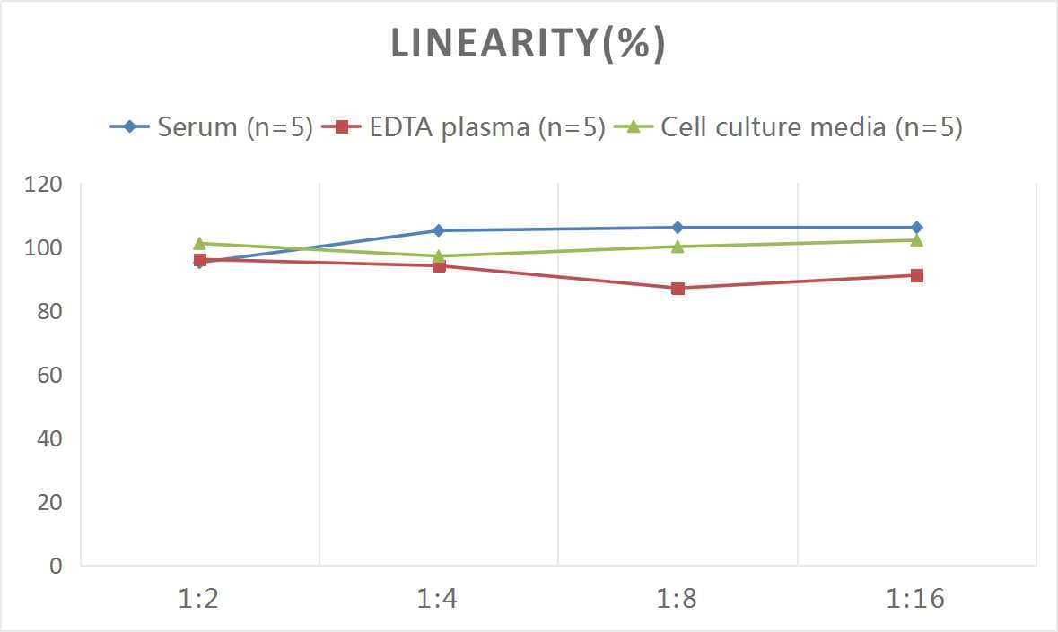 ELISA: Rat VEGFR2/KDR/Flk-1 ELISA Kit (Colorimetric) [NBP2-78888] - Samples were spiked with high concentrations of Rat VEGFR2/KDR/Flk-1 and diluted with Reference Standard & Sample Diluent to produce samples with values within the range of the assay.