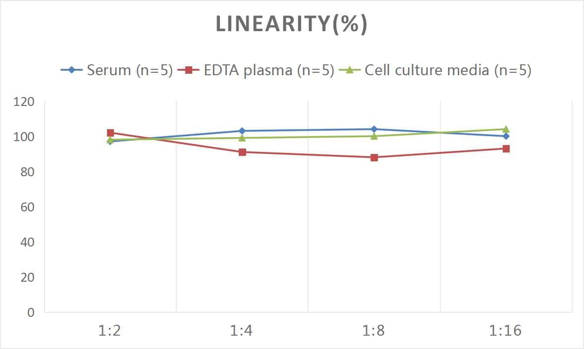 ELISA: Human VEGF 165 ELISA Kit (Colorimetric) [NBP2-79681] - Samples were spiked with high concentrations of Human VEGF 165 and diluted with Reference Standard & Sample Diluent to produce samples with values within the range of the assay.