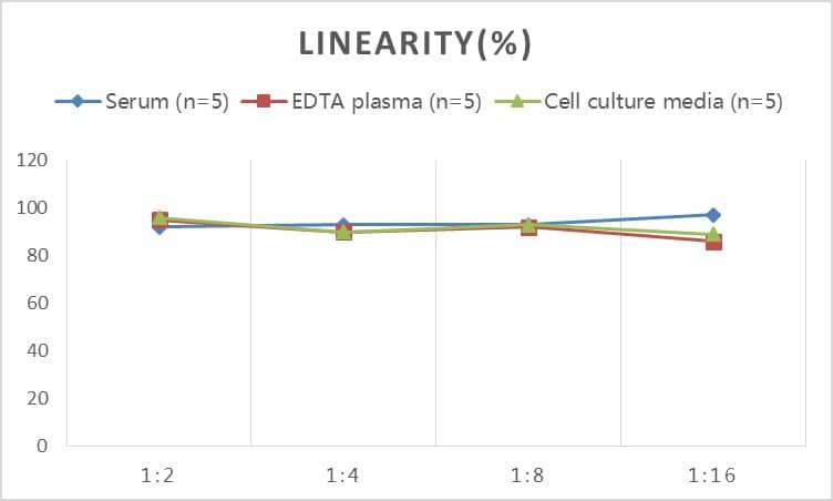 ELISA: Rat Soluble CD25/IL-2R alpha  - soluble ELISA Kit (Colorimetric) [NBP2-79697] - Samples were spiked with high concentrations of Rat Soluble CD25/IL-2R alpha and diluted with Reference Standard & Sample Diluent to produce samples with values within the range of the assay.