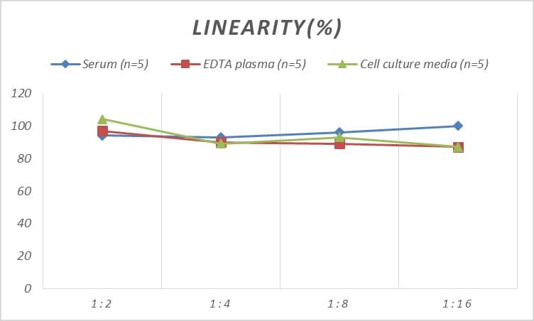 ELISA: Human Connexin 37/GJA4 ELISA Kit (Colorimetric) [NBP2-79829] - Samples were spiked with high concentrations of Human Connexin 37/GJA4 and diluted with Reference Standard & Sample Diluent to produce samples with values within the range of the assay.
