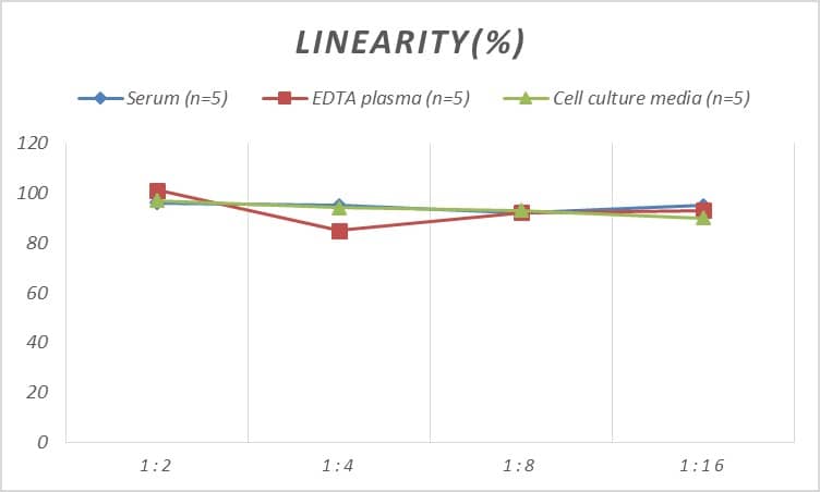 ELISA: Mouse Connexin 37/GJA4 ELISA Kit (Colorimetric) [NBP2-79830] - Samples were spiked with high concentrations of Mouse Connexin 37/GJA4 and diluted with Reference Standard & Sample Diluent to produce samples with values within the range of the assay.