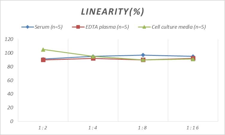 ELISA: Rat Connexin 37/GJA4 ELISA Kit (Colorimetric) [NBP2-79831] - Samples were spiked with high concentrations of Rat Connexin 37/GJA4 and diluted with Reference Standard & Sample Diluent to produce samples with values within the range of the assay.