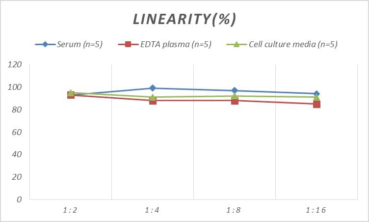 ELISA: Human Connexin 40/GJA5 ELISA Kit (Colorimetric) [NBP2-80126] - Samples were spiked with high concentrations of Human Connexin 40/GJA5 and diluted with Reference Standard & Sample Diluent to produce samples with values within the range of the assay.