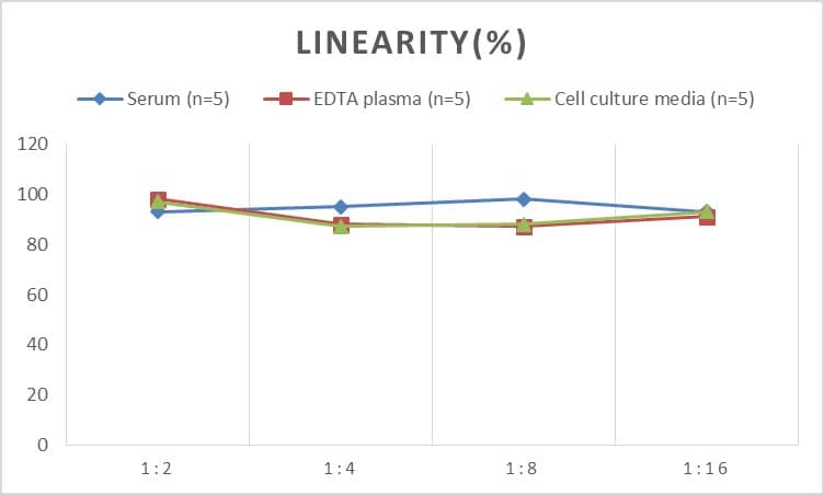 ELISA: Rat Connexin 40/GJA5 ELISA Kit (Colorimetric) [NBP2-80127] - Samples were spiked with high concentrations of Rat Connexin 40/GJA5 and diluted with Reference Standard & Sample Diluent to produce samples with values within the range of the assay.