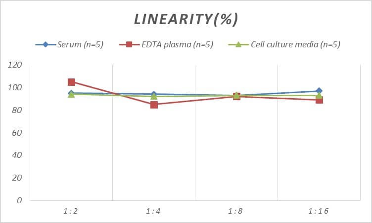 ELISA: Human ECE-1 ELISA Kit (Colorimetric) [NBP2-80129] - Samples were spiked with high concentrations of Human ECE-1 and diluted with Reference Standard & Sample Diluent to produce samples with values within the range of the assay.