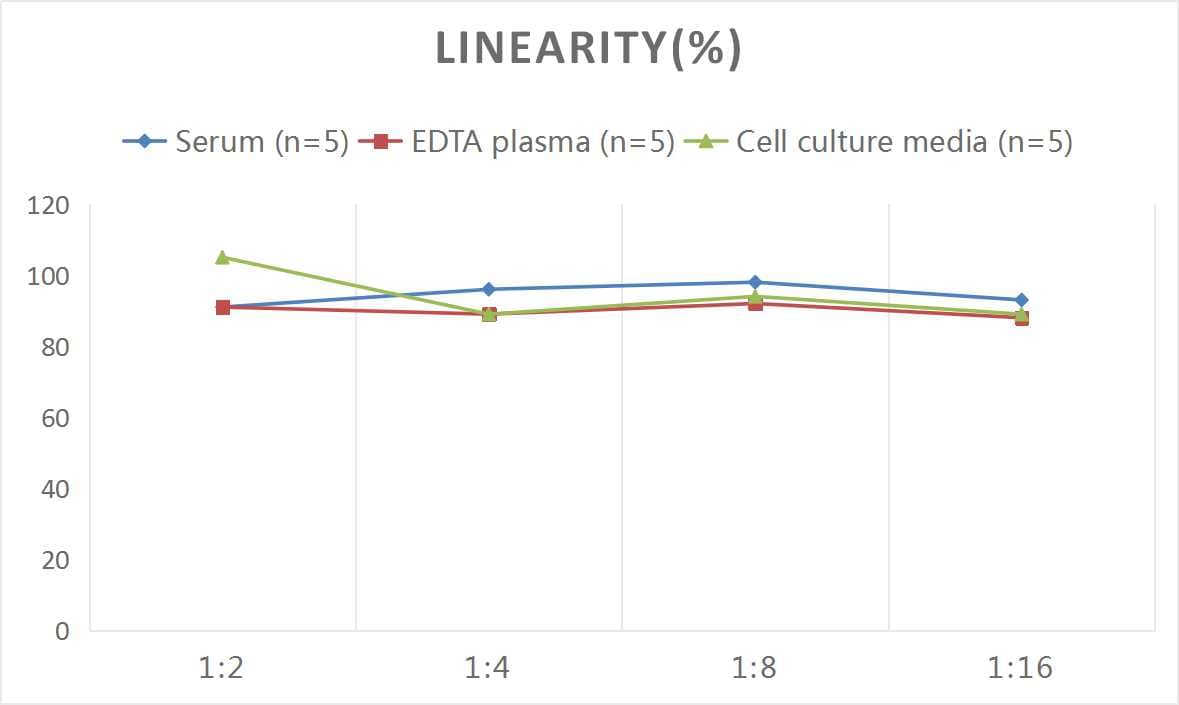 ELISA: Human EDNRA/Endothelin R Type A ELISA Kit (Colorimetric) [NBP2-80131] - Samples were spiked with high concentrations of Human EDNRA/Endothelin R Type A and diluted with Reference Standard & Sample Diluent to produce samples with values within the range of the assay.