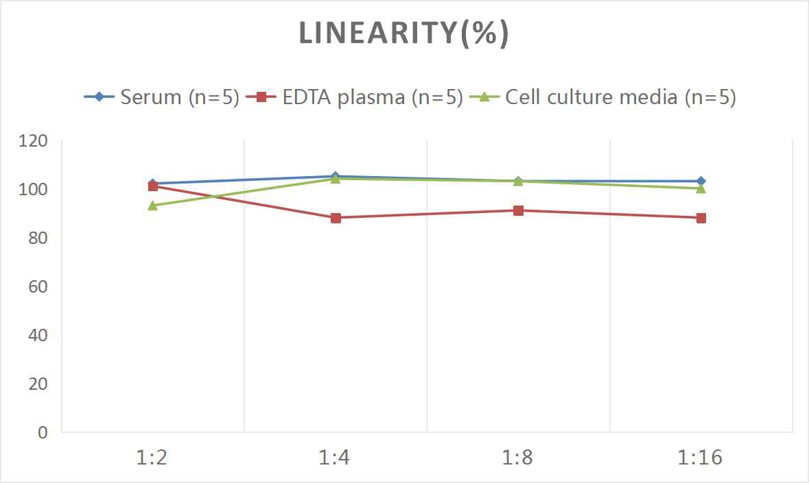 ELISA: Mouse eNOS ELISA Kit (Colorimetric) [NBP2-80135] - Samples were spiked with high concentrations of Mouse eNOS and diluted with Reference Standard & Sample Diluent to produce samples with values within the range of the assay.