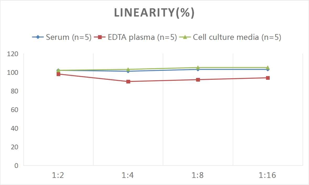 ELISA: Rat eNOS ELISA Kit (Colorimetric) [NBP2-80136] - Samples were spiked with high concentrations of Rat eNOS and diluted with Reference Standard & Sample Diluent to produce samples with values within the range of the assay.