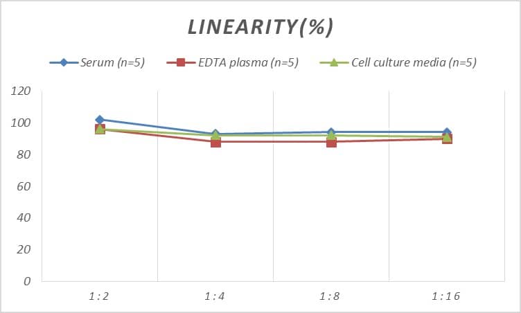ELISA: Rat IGFBP-6 ELISA Kit (Colorimetric) [NBP2-80237] - Samples were spiked with high concentrations of Rat IGFBP-6 and diluted with Reference Standard & Sample Diluent to produce samples with values within the range of the assay.