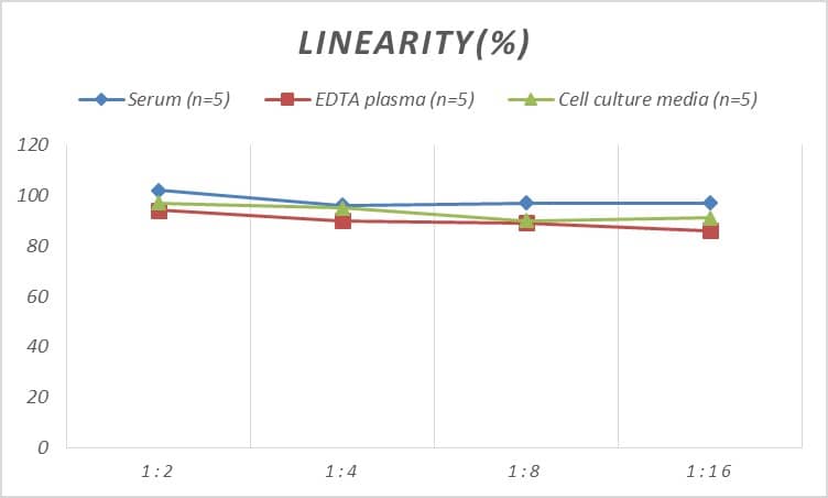 ELISA: Rat IGFBP-4 ELISA Kit (Colorimetric) [NBP2-80244] - Samples were spiked with high concentrations of Rat IGFBP-4 and diluted with Reference Standard & Sample Diluent to produce samples with values within the range of the assay.