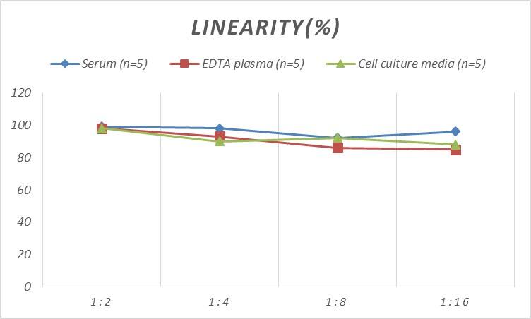 ELISA: Human FABP8/M-FABP/Myelin P2 Protein ELISA Kit (Colorimetric) [NBP2-80263] - Samples were spiked with high concentrations of Human FABP8/M-FABP/Myelin P2 Protein and diluted with Reference Standard & Sample Diluent to produce samples with values within the range of the assay.