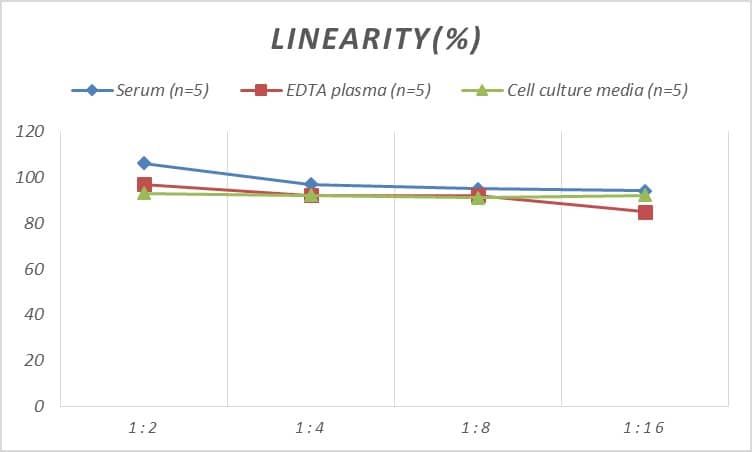 ELISA: Rat SeP ELISA Kit (Colorimetric) [NBP2-80268] - Samples were spiked with high concentrations of Rat SeP and diluted with Reference Standard & Sample Diluent to produce samples with values within the range of the assay.