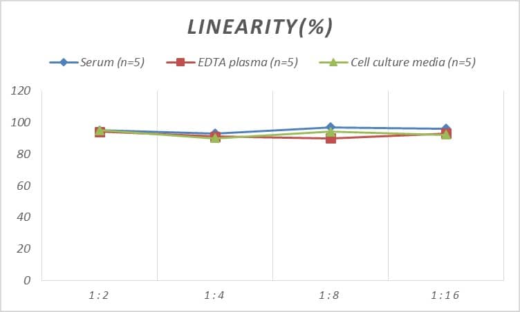 ELISA Rat Somatostatin R1/SSTR1 ELISA Kit (Colorimetric)