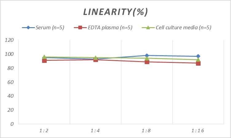 ELISA: Human Somatostatin R3/SSTR3 ELISA Kit (Colorimetric) [NBP2-80277] - Samples were spiked with high concentrations of Human Somatostatin R3/SSTR3 and diluted with Reference Standard & Sample Diluent to produce samples with values within the range of the assay.