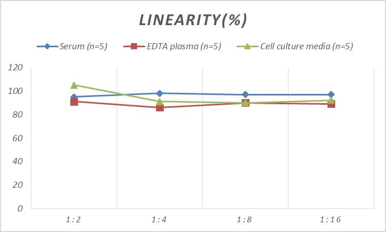 ELISA Human Somatostatin R4/SSTR4 ELISA Kit (Colorimetric)