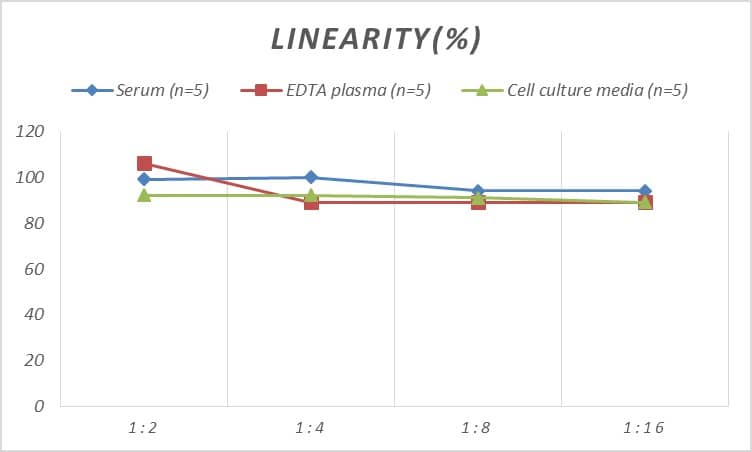 ELISA Human STAT5A ELISA Kit (Colorimetric)