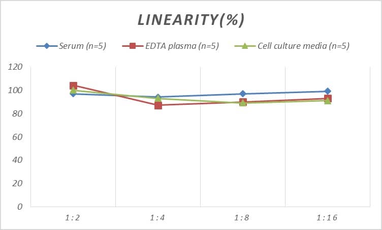 ELISA Mouse STAT5A ELISA Kit (Colorimetric)