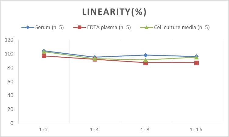 ELISA: Rat STAT5b ELISA Kit (Colorimetric) [NBP2-80282] - Samples were spiked with high concentrations of Rat STAT5b and diluted with Reference Standard & Sample Diluent to produce samples with values within the range of the assay.