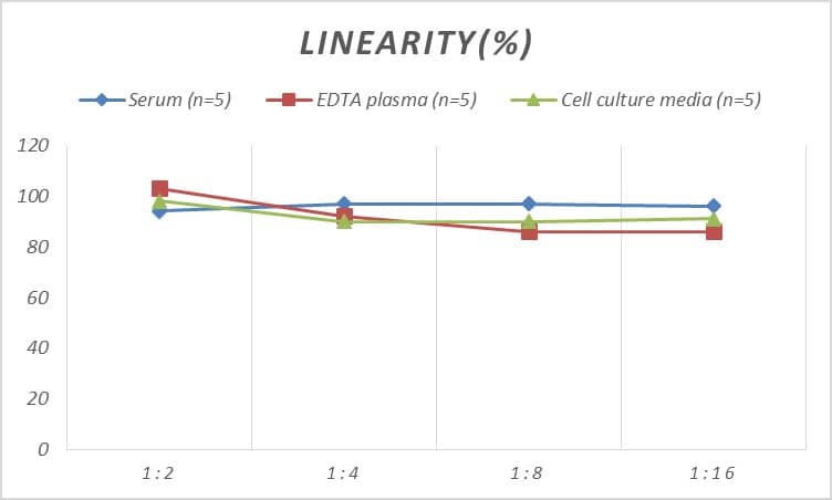 ELISA Human Synaptophysin ELISA Kit (Colorimetric)