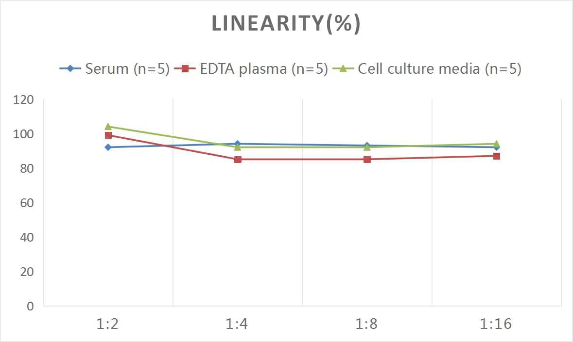 ELISA: Rat Synaptophysin ELISA Kit (Colorimetric) [NBP2-80285] - Samples were spiked with high concentrations of Rat Synaptophysin and diluted with Reference Standard & Sample Diluent to produce samples with values within the range of the assay.