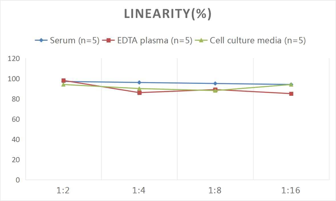 ELISA: Human NK1R ELISA Kit (Colorimetric) [NBP2-80291] - Samples were spiked with high concentrations of Human NK1R and diluted with Reference Standard & Sample Diluent to produce samples with values within the range of the assay.