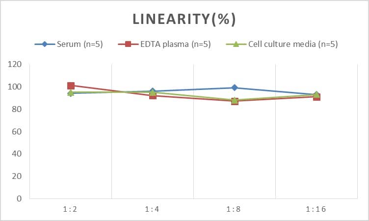 ELISA: Rat NK1R ELISA Kit (Colorimetric) [NBP2-80293] - Samples were spiked with high concentrations of Rat NK1R and diluted with Reference Standard & Sample Diluent to produce samples with values within the range of the assay.