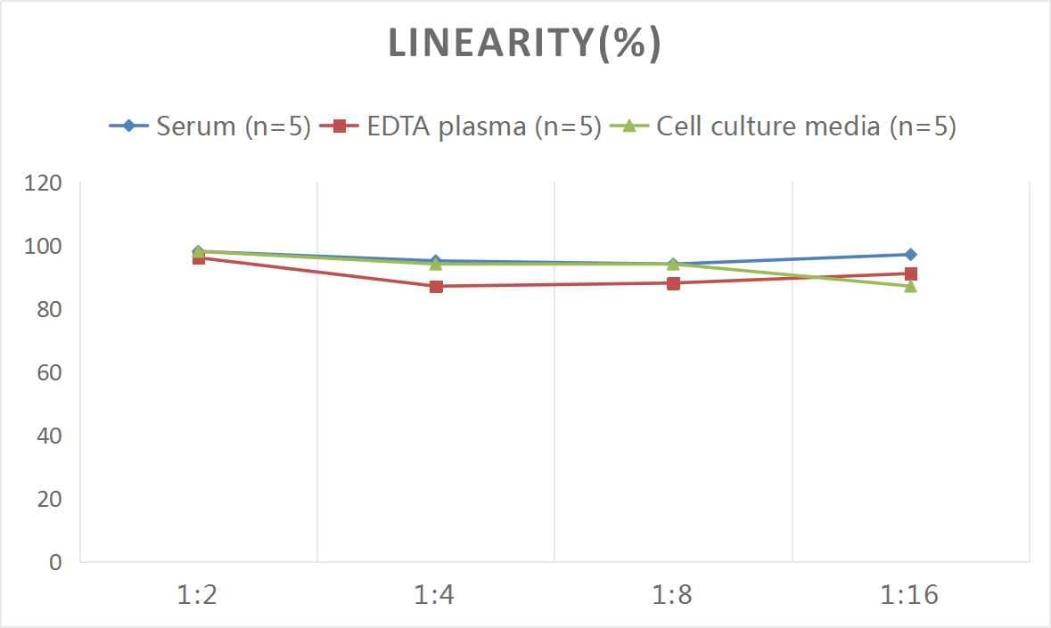 ELISA Human Noggin ELISA Kit (Colorimetric)