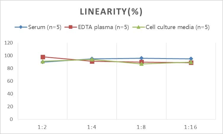 ELISA: Human Synaptopodin ELISA Kit (Colorimetric) [NBP2-80297] - Samples were spiked with high concentrations of Human Synaptopodin and diluted with Reference Standard & Sample Diluent to produce samples with values within the range of the assay.