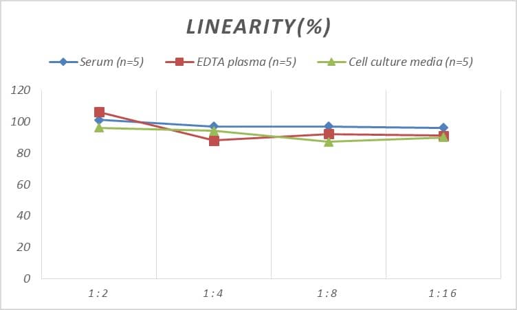 ELISA: Rat SERP1 ELISA Kit (Colorimetric) [NBP2-80304] - Samples were spiked with high concentrations of Rat SERP1 and diluted with Reference Standard & Sample Diluent to produce samples with values within the range of the assay.