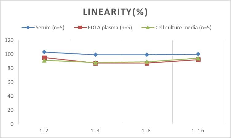 ELISA Rat Occludin ELISA Kit (Colorimetric)