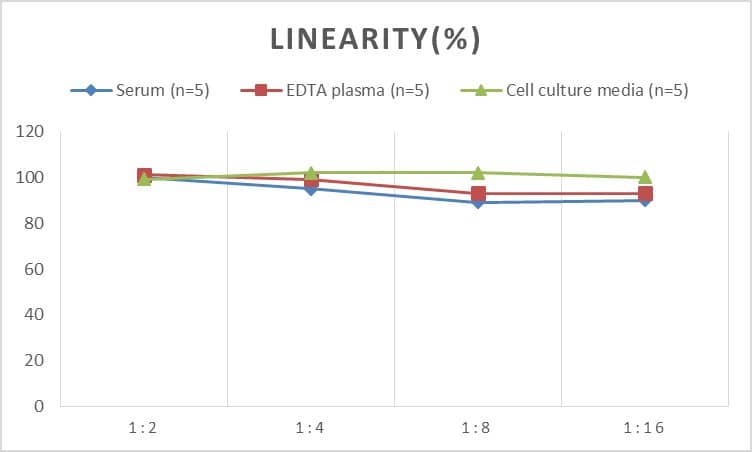 ELISA: Rat Oxyntomodulin ELISA Kit (Colorimetric) [NBP2-80308] - Samples were spiked with high concentrations of Rat Oxyntomodulin and diluted with Reference Standard & Sample Diluent to produce samples with values within the range of the assay.