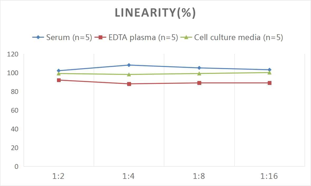 ELISA: Rat Procollagen Type III ELISA Kit (Colorimetric) [NBP2-81138] - Samples were spiked with high concentrations of Rat Procollagen Type III and diluted with Reference Standard & Sample Diluent to produce samples with values within the range of the assay.