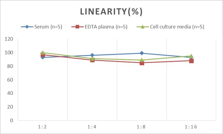 ELISA Human Lefty-1 ELISA Kit (Colorimetric)